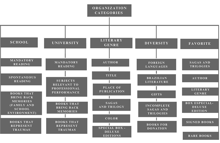 Categories identified in Brazilian&rsquo;s booktuber
