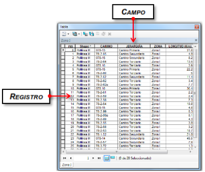 Ejemplo de una tabla de atributos