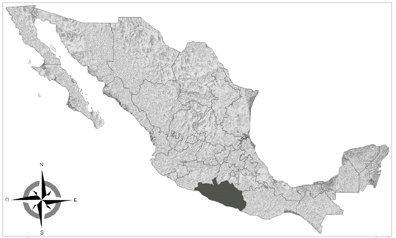 &Aacute;rea de estudio. En color negro se rellena la zona geogr&aacute;fica correspondiente al Estado de Guerrero, M&eacute;xico.