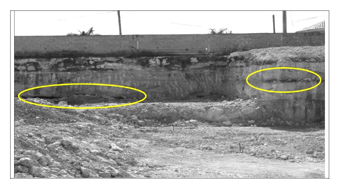 Figura 1.- En la fotografa se presenta un perfil aflorante donde se sealan los horizontes krsticos (crculos), a diferente profundidad, en la zona no saturada.