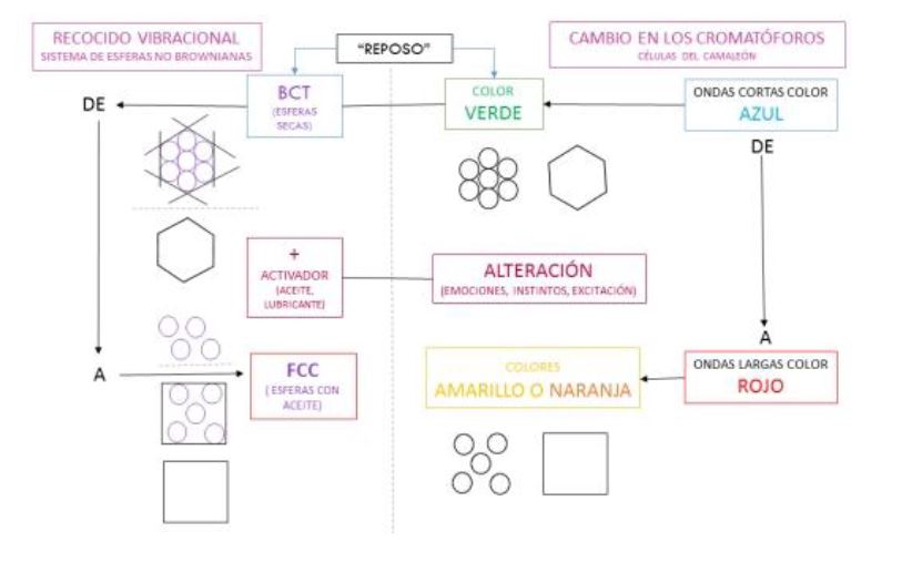 Figura 8. Analog�a entre las c�lulas del camale�n (cromat�foros) y el sistema de esferas no brownianas. Relaci�n entre el "cambio de color" (por las formaciones BCT y FCC) y la auto- organizaci�n. 