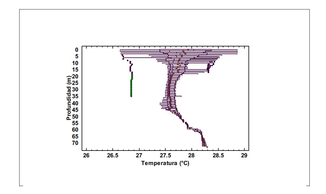 Distribuci&oacute;n vertical de la Temperatura medida en &deg;C en el Campo experimental depozos