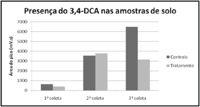 Gráfico apresentando a
capacidade da planta para a fitorremediação do composto 3,4-DCA (metabólito do
propanil) que estava presente tanto nas amostras do tratamento quanto nas do
controle durante as três coletas realizadas.