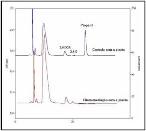 Cromatogramas
sobrepostos referentes à segunda extração (10º dia) com a amostra do controle e
tratamento na maior concentração dos pesticidas (0,1612 g Kg-1 + 0,072 g Kg-1 de Aminol e de Herbipropanin
respectivamente).