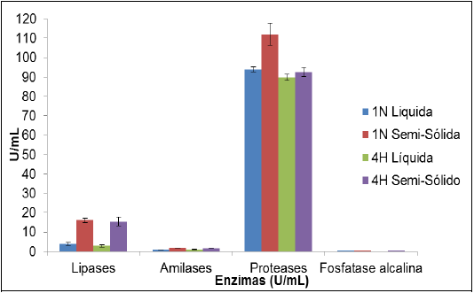 Atividades enzimáticas (U/mL) dos complexos lipolítico, amilolítico,
proteolítico e fosfatase alcalina, excretadas por Streptomyces sp. (1N e 4H) em fermentações em estado sólido
(semi-sólida) e submersa, utilizando como fonte de carbono o resíduo da
castanha-do-Brasil 

 
