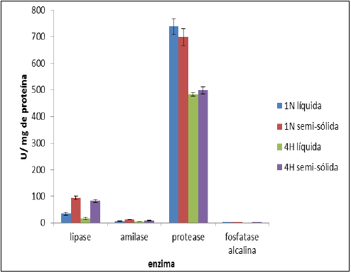 Atividade
específica (U/mg de proteína) dos complexos lipolítico, amilolítico,
proteolítico e fosfatase alcalina, excretadas por Streptomyces sp. (1N e 4H) em fermentações em estado sólido
(fermentações semi-sólidas) e submersa, utilizando como fonte de carbono o
resíduo da castanha-do- Brasil 

 