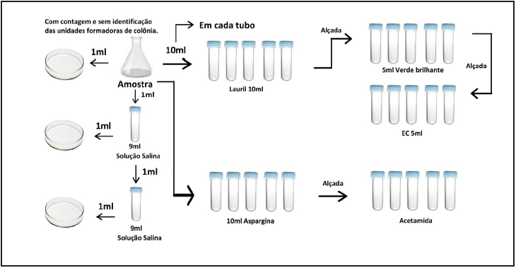 Esquema para Análise Microbiológica das Águas Minerais e Contagem de Bactérias
Heterotróficas sem Identificação