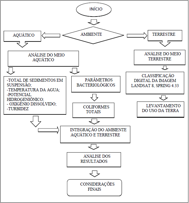 Etapas
metodológicas desenvolvidas no trabalho