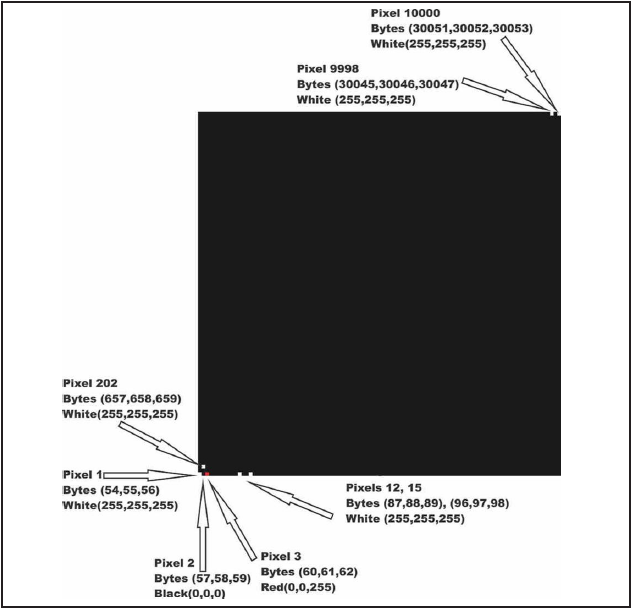 Representation of a black
image of 100x100 pixels, ie., 10000 pixels. [9, 10]
