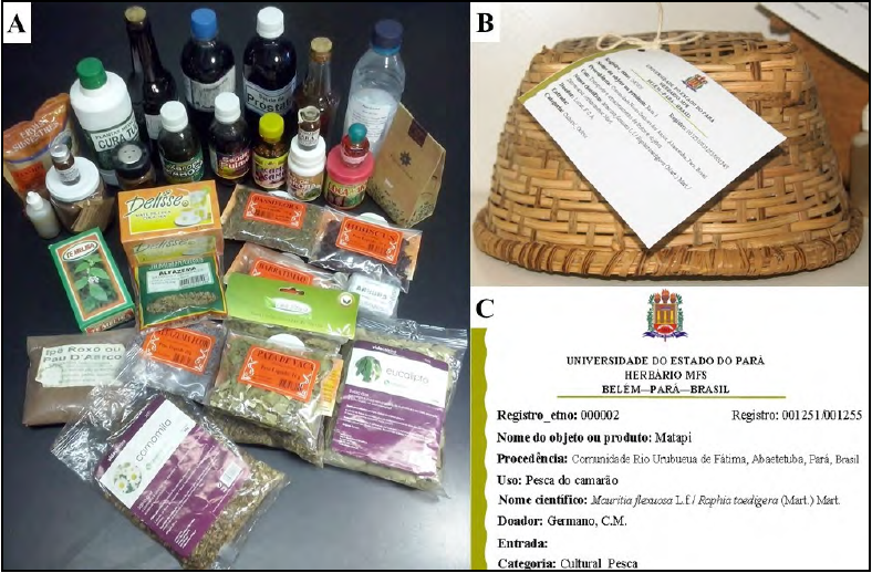 -
Material belonging to the ethnobotanical collection. A – Products from
traditional communities, fairs and commerce. B – Labeled ethnobotanical
material. C – Label with information about a product