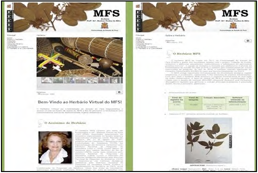 -
MFS site. MFS home page with the dedication of the herbarium code to Dr.
Marlene Freitas da Silva (left) and herbarium page (right) 

 