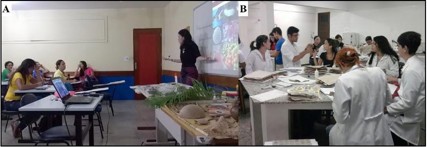 - A
– Teaching workshop about botanical collections with students from PARFOR. B –
Practical herbarium workshop offered to the undergraduate students 

 