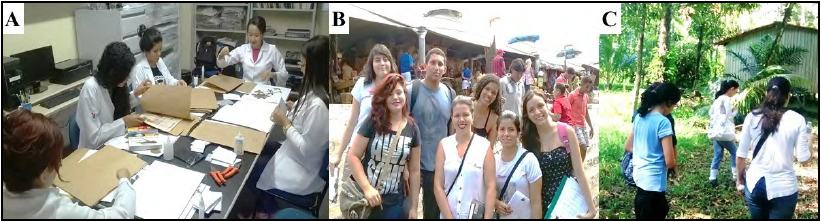  -
Activities by students in the internship program. A – Students conducting
routine herbarium practices. B – Field course: Visit to the Ver-o-Peso fair. C
– Field course: Excursion to the Área de Proteção Ambiental Ilha do Combu,
Belém, Pará