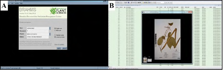 - A –BRAHMS Software. B – MFS
database