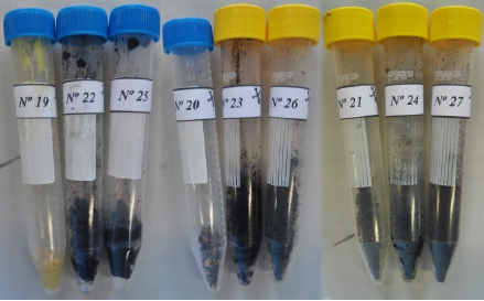 – Results from 19 to 27 (acid digestion at 150 ºC)
of the samples subjected to nitric, sulfuric and
hydrochloric acids, respectively, in the three herein defined digestion times
