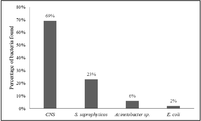  Frequency (%) of the bacteria found on the
surfaces analyzed in the different rooms of the surgical center of a hospital
in the countryside of Rio Grande do Sul