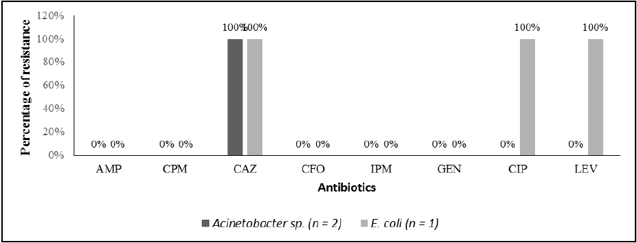 Frequency (%) of the resistance to antibiotics
presented by the Gram-negative bacteria found on the analyzed surfaces of a
hospital in the countryside of Rio Grande do Sul