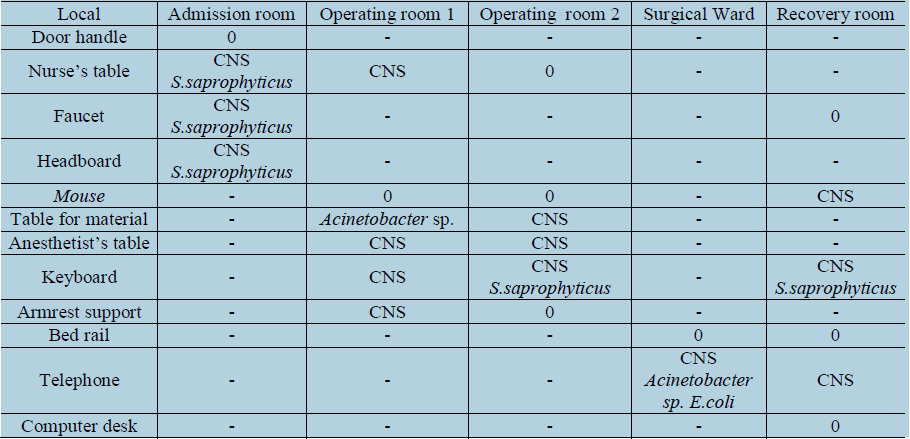  Species of bacteria found on the surfaces analyzed
in the different rooms of the surgical center of a hospital in the countryside