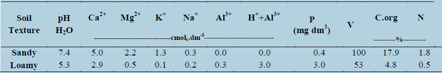 Physical-chemical characterization of soils