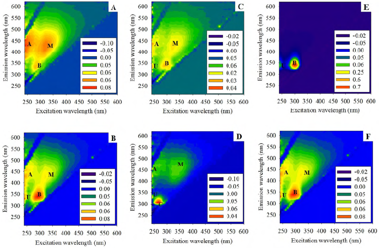Representative emission and excitation matrices
(EEMS) for pasture in the different regions and hydrological seasons of Mato
Grosso. (A) Amazonian in the dry season, (B) Amazonian i n the wet season, (C)
Savanna in the dry season, (D) Savanna in the wet season, (E) Wetland in the
dry season, and (F) Wetland in the wet season