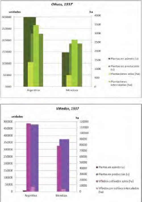 Olivos y vid, 1937. Distinci&oacute;n entre plantas en
asiento, en producci&oacute;n, solas e intercaladas