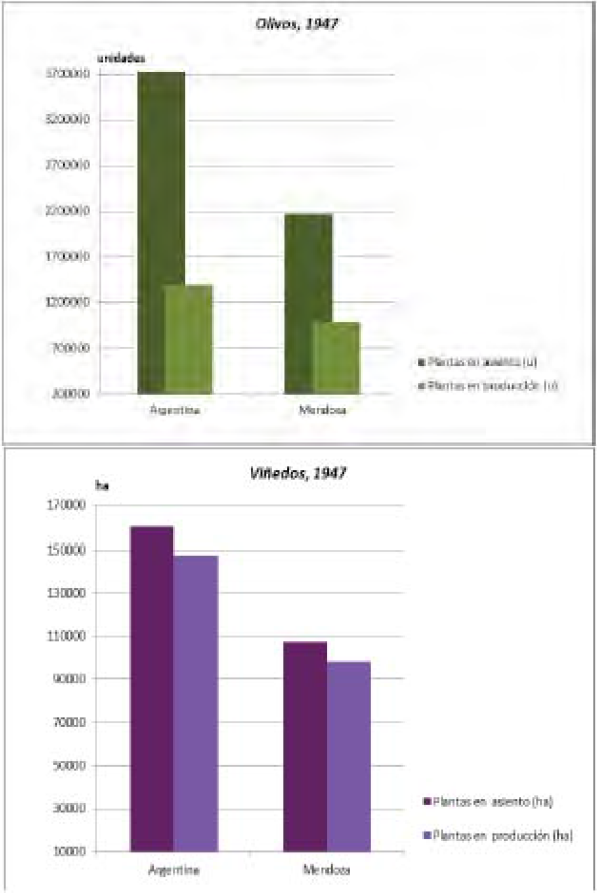 Olivos y vid, 1947. Distinci&oacute;n entre plantas en
asiento y en producci&oacute;n