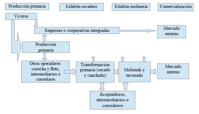 Cadena de la yerba mate