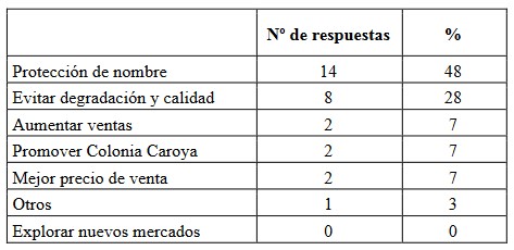 Respuestas sobre motivaciones de los elaboradores de
Salame de Colonia 

Caroya
para participar en la construcción de una IG para ese producto