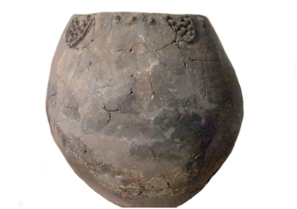 Recipiente cer&aacute;mico que ha contenido mosto o vino, seg&uacute;n
el an&aacute;lisis de sus residuos (Shulaveri Gora, Georgia)