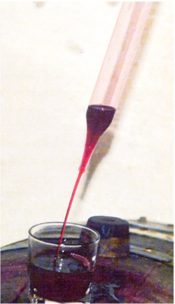 Vino procedente de vid silvestre