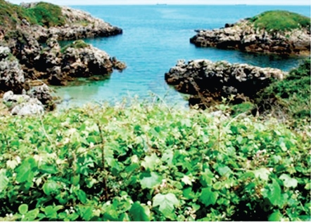 Poblaci&oacute;n del litoral Cant&aacute;brico (Asturias)