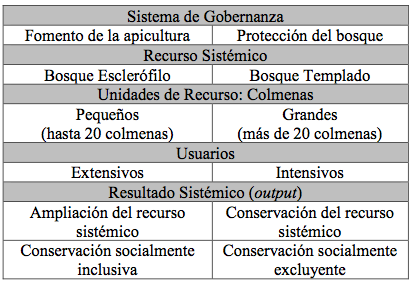 Relaciones sistémicas entre los apicultores y el bosque nativo