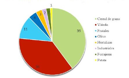 Distribuci�n porcentual de la superficie de los principales cultivos