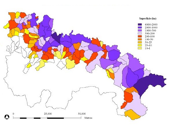 Superficie de vi�edo por municipios