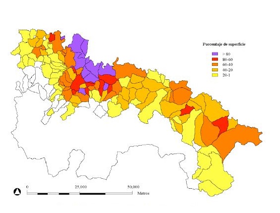 Porcentaje municipal de superficie de vi�edo