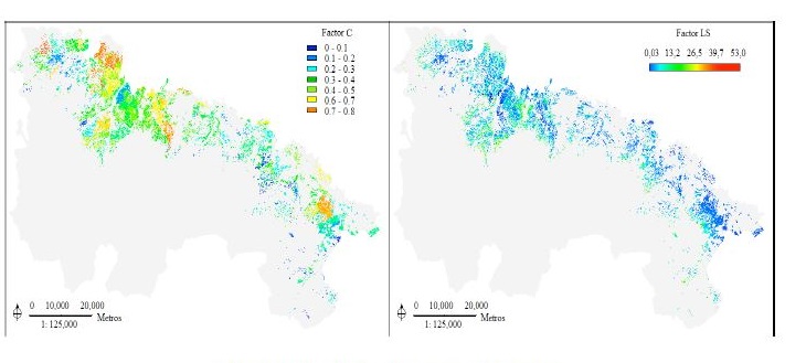 Cubierta vegetal y factor topogr�fico