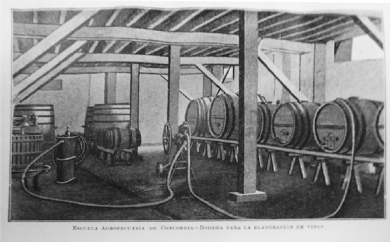 Bodega de la escuela