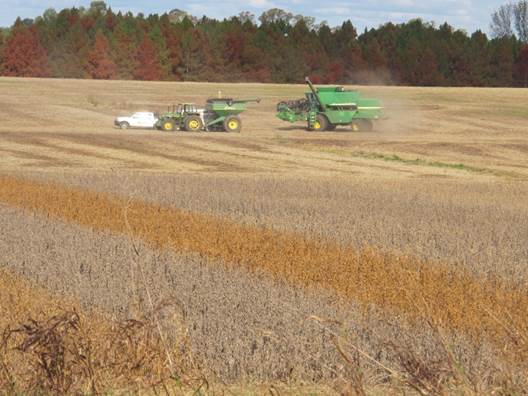 El agronegocio en pleno en la agricultura de soja Figure 1. Full agribusiness in soybean agriculture