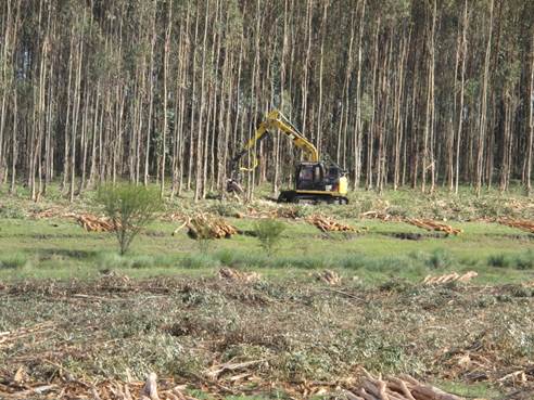 Cosecha forestal mecanizada y realizada por contratistas Figure 2. Mechanised harvest forest by contractors