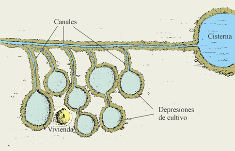 Ideal reconstruction of a part of the irrigation and cultivation system of Bordos Blancos site (Iglesia Valley)