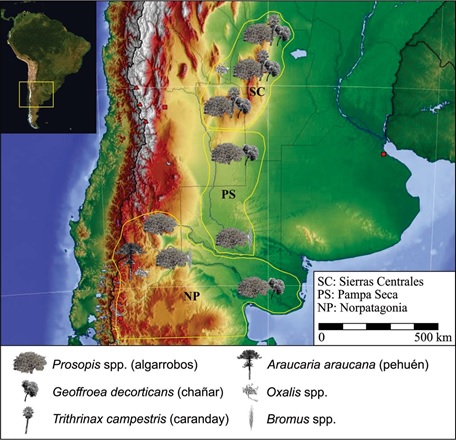 Vegetales silvestres consumidos en Sierras Centrales, Pampa Seca y Norpatagonia