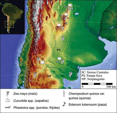 Vegetales domesticados consumidos en Sierras Centrales, Pampa Seca y Norpatagonia