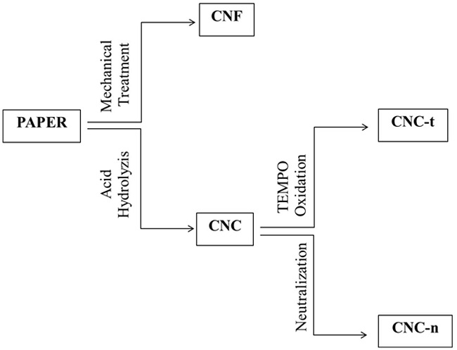  Illustrative scheme of the preparation methods and obtained materials. 