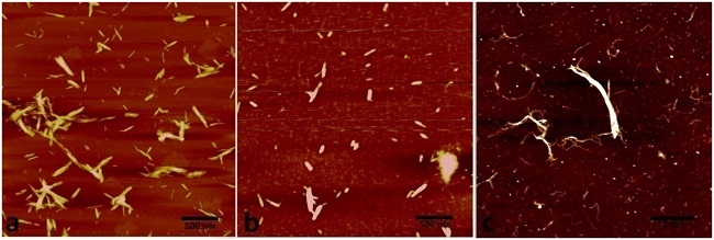 AFM images of (a) CNC-n, (b) CNC-t and (c) CNF.