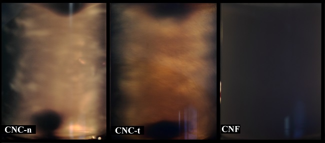  Birrefringence domaines of nanoparticle suspensions with concentration of 0.6wt%. 