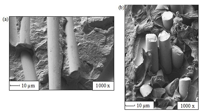  SEM images of tensile fracture surfaces of PP/15 wt% glass fibre composites with (a) 5 and (b) 0 wt% of MAPP contents. 