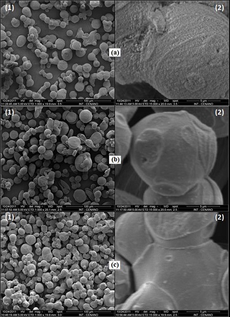  Scanning electronic micrographs of the samples GB (a), GBt10 (b) and GBt2880 (c) with 1,000X (1) and 15,000X (2). 