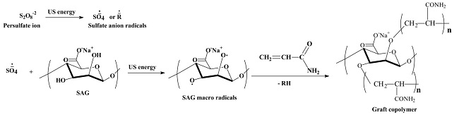  Grafting reaction mechanism of SAG D-glucopyranosyl units with acrylamide. 