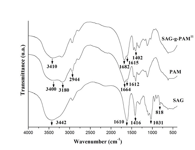  FTIR spectra of (SAG), (PAM), and SAG-g-PAM11 copolymer. 