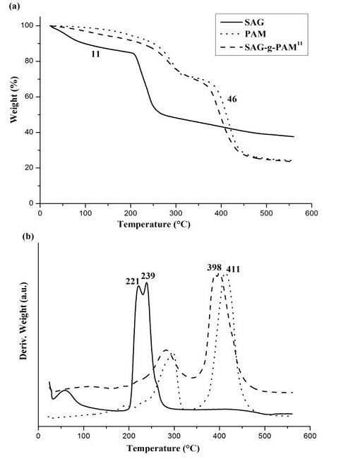  (a) Mass loss and (b) derivative TGA curves of the neat polymers (SAG) and (PAM), and SAG- g-PAM11 copolymer. 